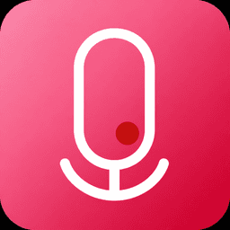 Audio Recorder Lite - free browser extension
